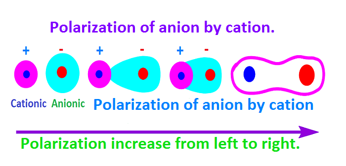 Polarise meaning clearance